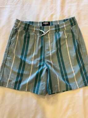 RSQ Green Vertical Stripe Swim Trunks